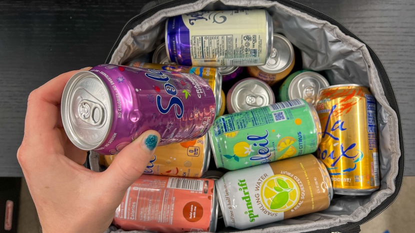 lifewit large insulated 24 - the lifewit can fit 24 cans and a small-sized bottle of wine...