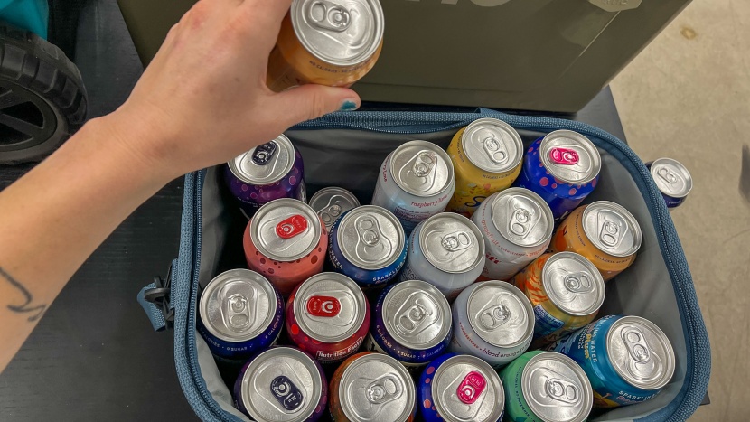 clevermade pacifica collapsible bag 30 - this cooler can fit a lot of items, but they&#039;ll get soaked if you...