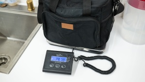 lifewit large insulated 24