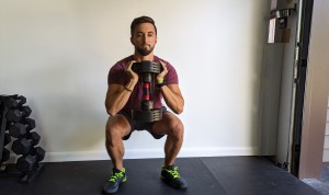 The Core Adjustable Set are great for Goblet Squats.