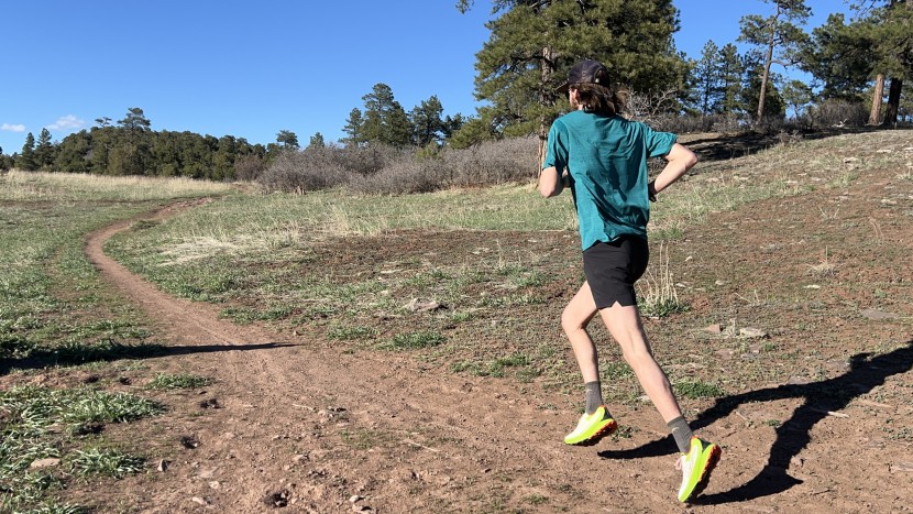 la sportiva prodigio - the dense foam on the prodigio creates a stable platform that offers...