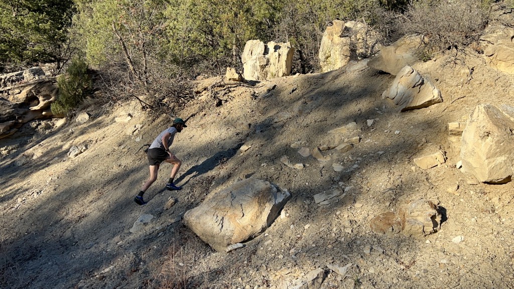 trail running shoes men - the salmon pulsar trail pro 2 offers good stability many different...