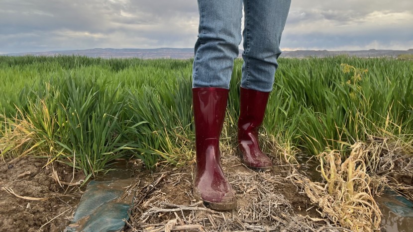 kamik heidi 2 - spring chores in the field tested the stylish kamik heidi 2 boots...