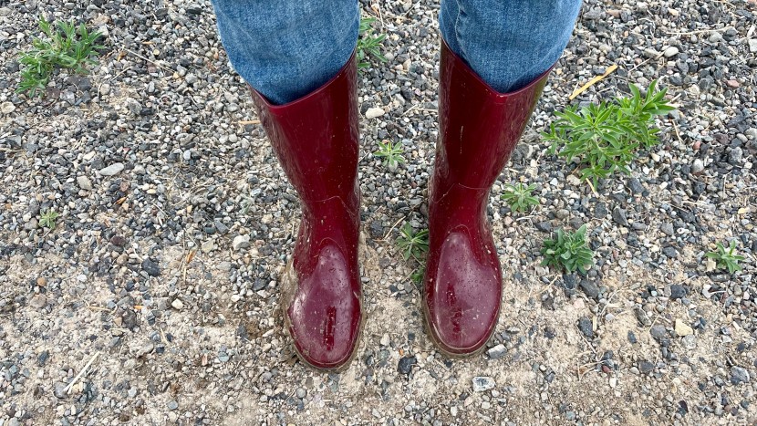 kamik heidi 2 - the glossy synthetic rubber is eye-catching yet uncompromised in...