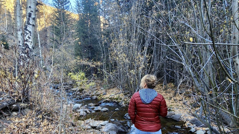 rei co-op 650 for women - for casual fall strolls, the rei 650 down shines, especially when...