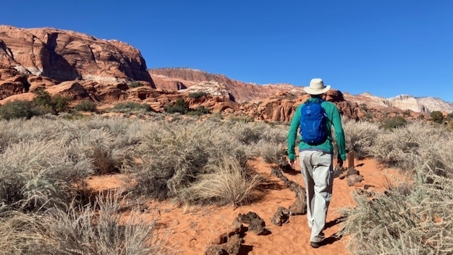 hydration pack - with so many great packs on the market, you&#039;ll want to find the one...