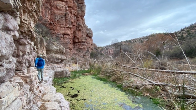 hydration pack - hydration packs may be labeled as activity-specific, but many can...