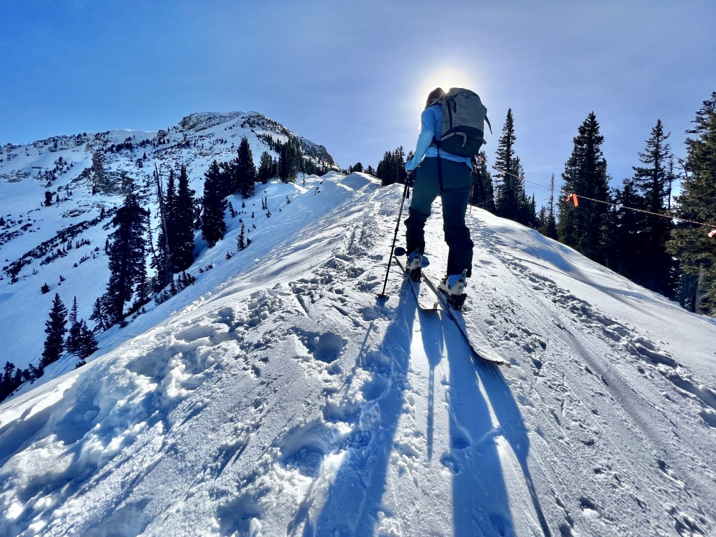 ski pants womens - the skyward ii pants are great for uphill touring.