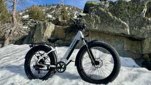 Product photo of Lectric XPeak