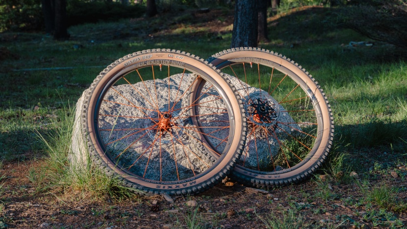 best downhill rims