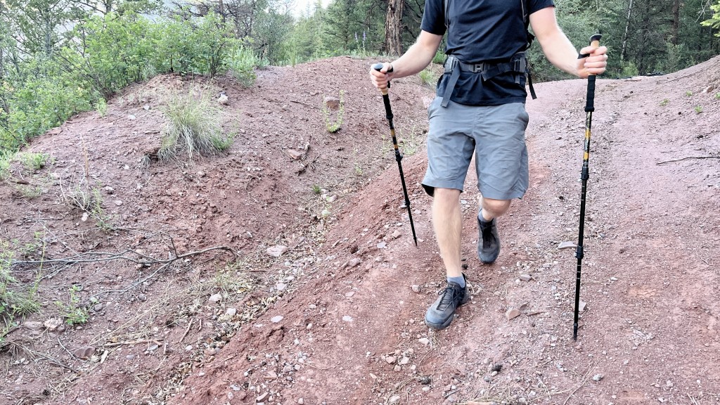 How to Choose the Right Trekking Poles GearLab