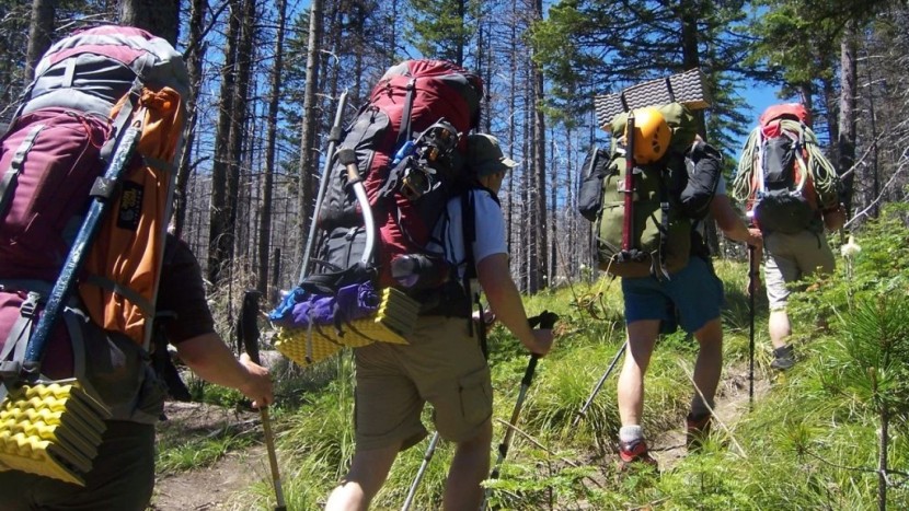 trekking poles take a little weight off your knees with each step...