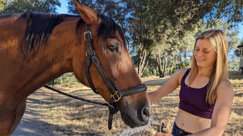 girlfriend collective paloma - the wide and supportive coverage of the paloma make it a versatile...