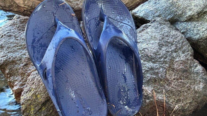 The 8 Best Flip Flops of 2025 | Tested & Rated