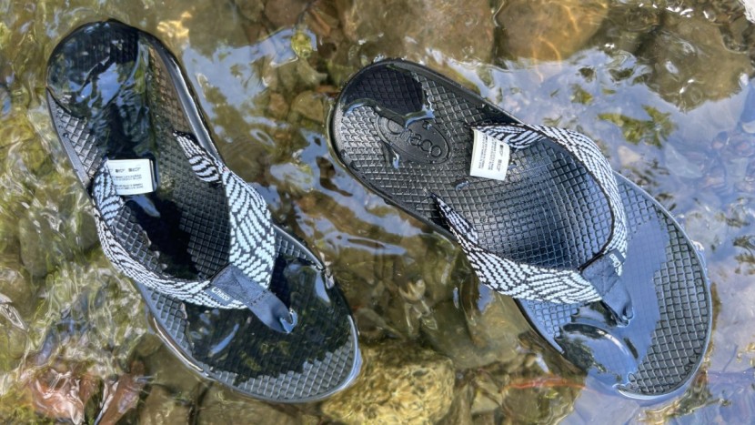 flip flops womens - the new version of the chaco classic flip has a tag inside the...