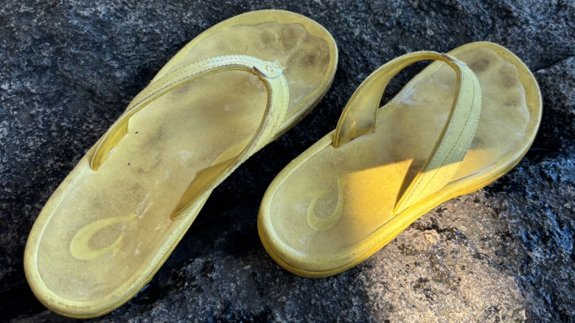 The 8 Best Flip Flops of 2025 | Tested & Rated