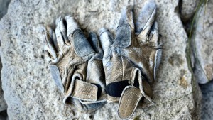 6 Greatest Climbing Gloves of 2024