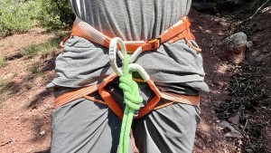 petzl sitta