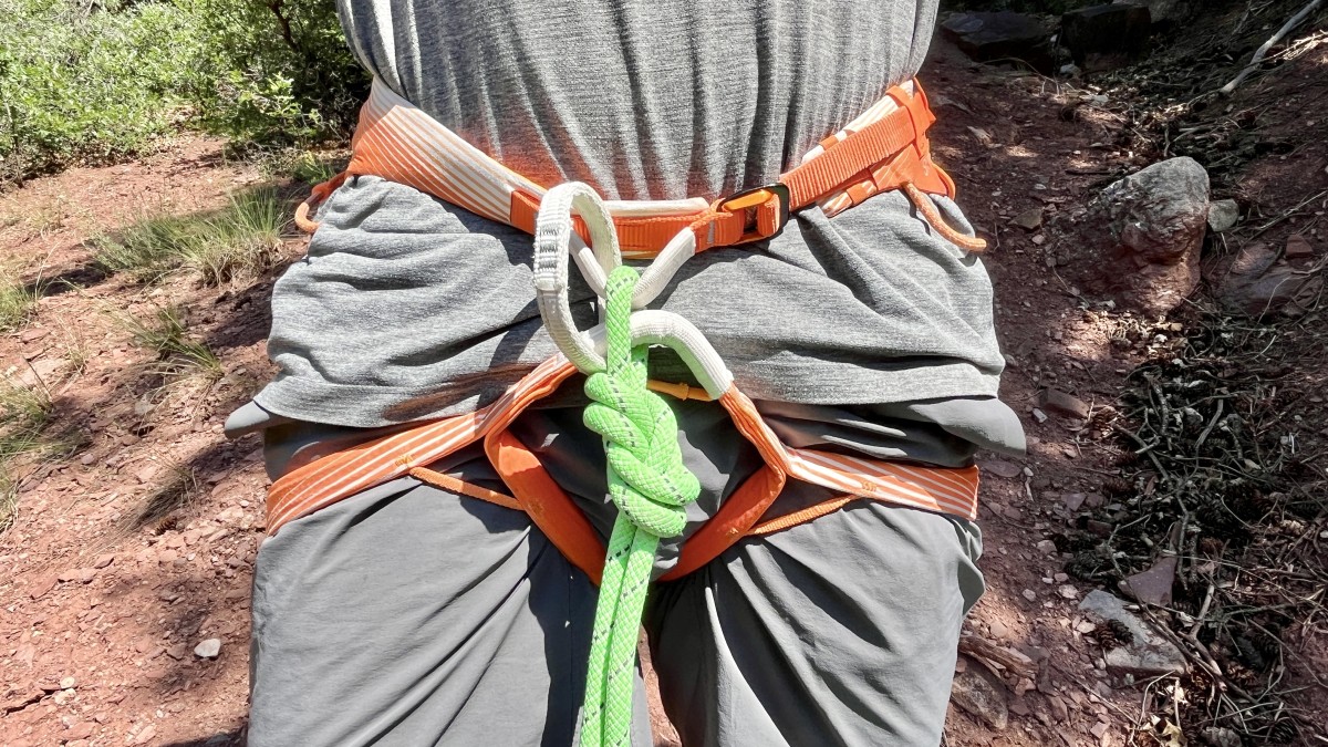 Petzl Sitta Review (The Petzl Sitta, our favorite overall climbing harness.)