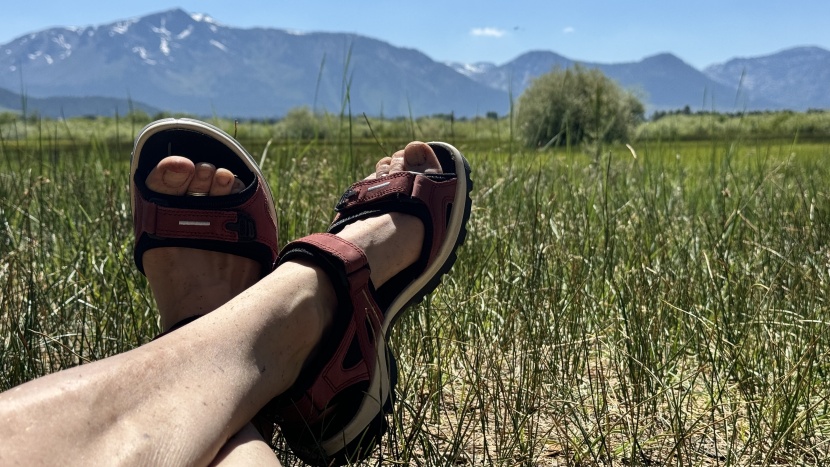 ecco yucatan for women - the yucatan are some of the most comfortable sandals we&#039;ve tested.