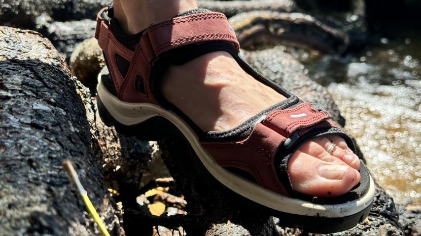 ecco yucatan for women - the secure straps of the yucatan provide great stability, even over...