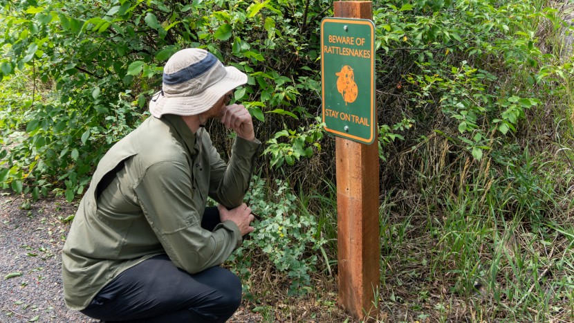 sun shirt - the columbia silver ridge utility lite has excellent coverage and uv...