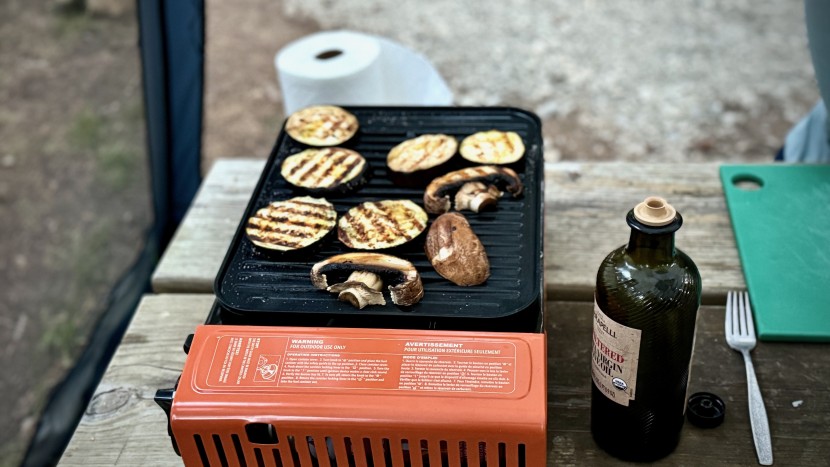 eureka sprk camp grill - our testers found this grill very simple, easy to use, and offered...