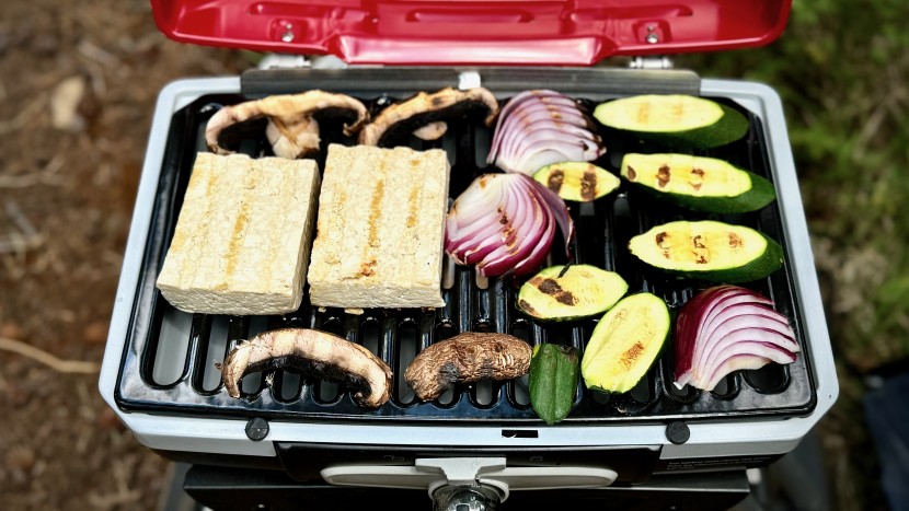 portable grill - a grill that measures 145 square inches is a solid option when...