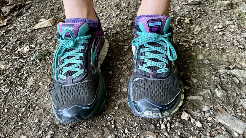 socks women - they call it no show for a reason!