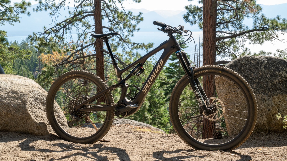 Specialized Turbo Levo SL Comp Review