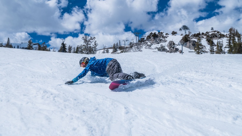 burton high fidelity - the burton high fidelity is an excellent addition to the family tree...