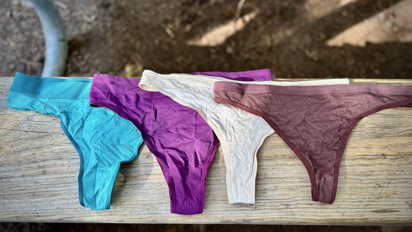 travel underwear womens - for those concerned about a longer drying speed, check out these...