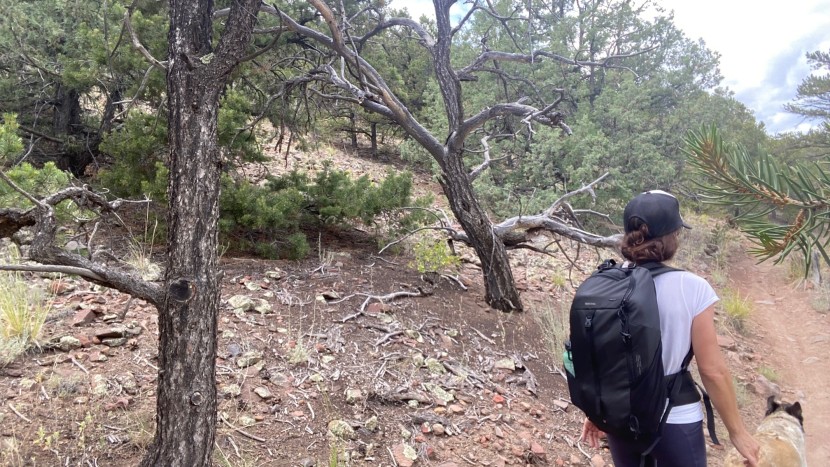 daypack womens - the decathlon quechua has everything you need and nothing you don&#039;t...