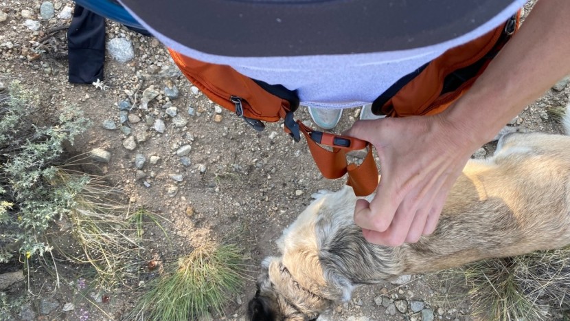 gregory jade 28l - you will want to double-check the gregory jade&#039;s hip belt, as it may...