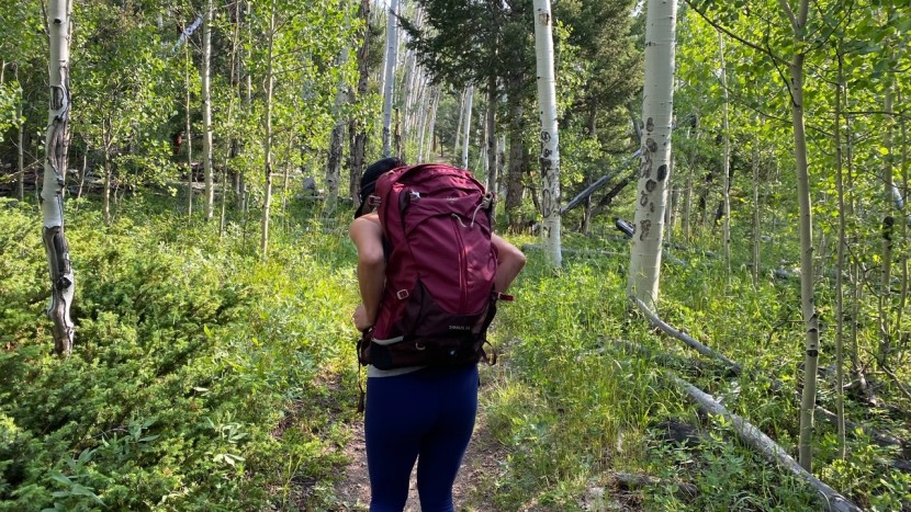daypack womens - a well constructed bag has the potential to last a lifetime.