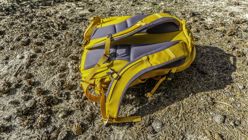 daypack - well-padded shoulder straps and back make the rei trail 25 a...