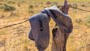 Product photo of Wigwam Hiking Outdoor Pro