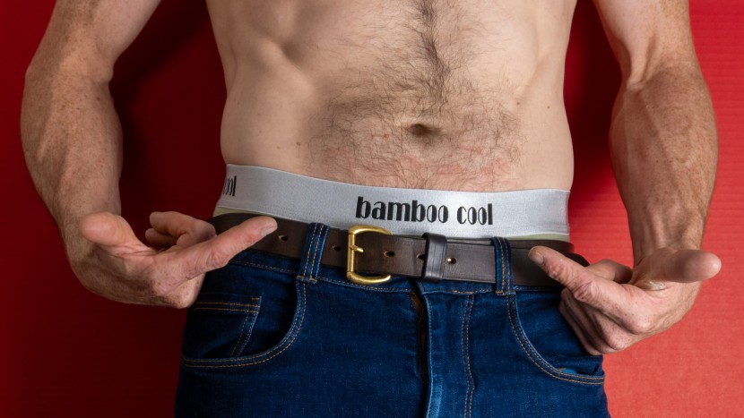 boxer briefs - for the price, the bamboo cools did an excellent job with staying...