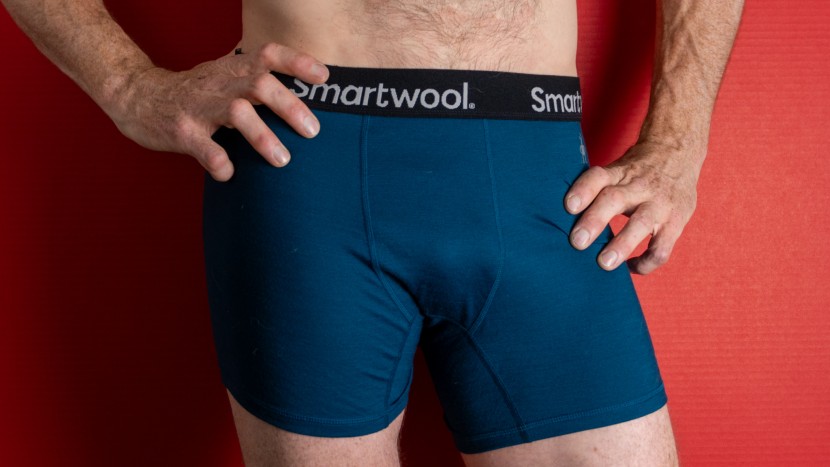 boxer briefs - for all but the most hot and humid days, we find we prefer a wool...