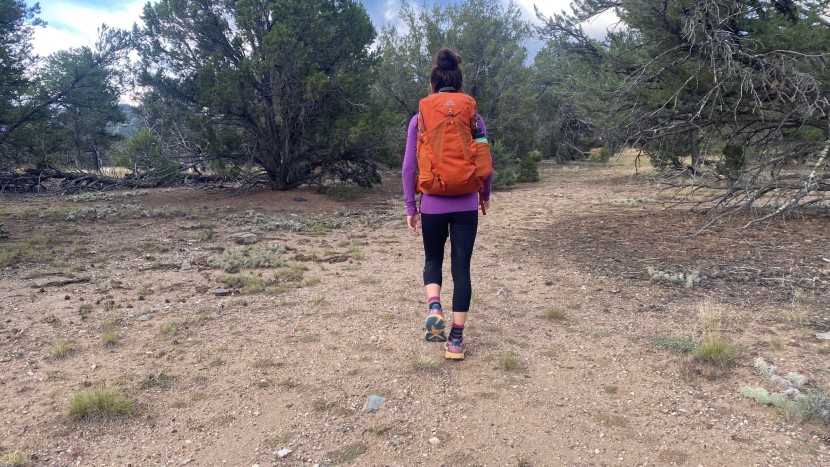daypack womens - the gregory jade is an amazing, all-around pack that can hold...