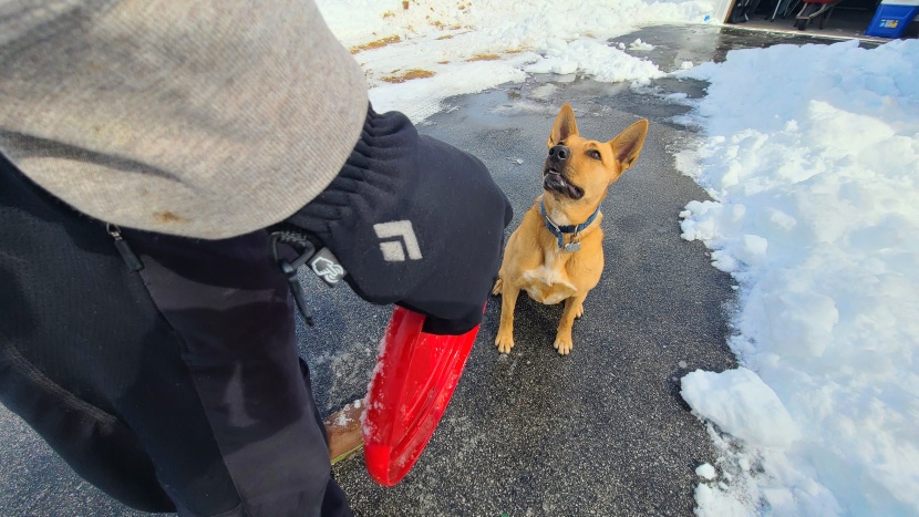 if you're playing around right outside the house in mild winter...