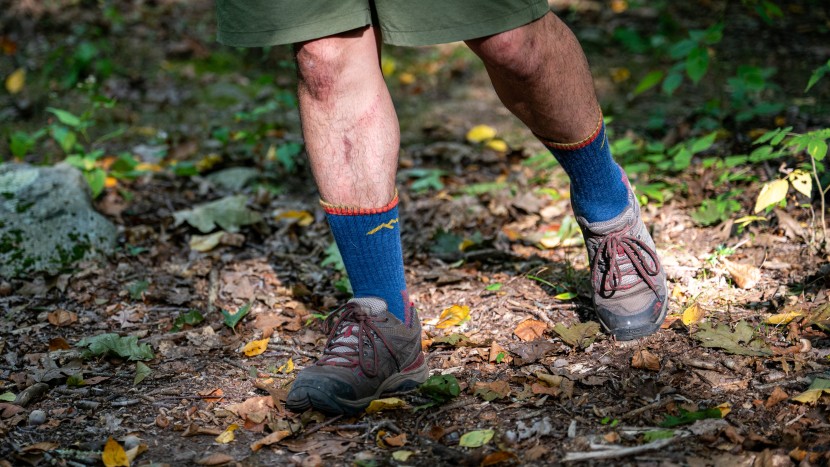 socks mens - the darn tough micro crew midweight can handle hiking, cardio, or...
