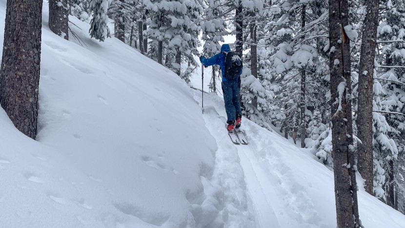 The 5 Best Climbing Skins for Backcountry Skiing | Tested