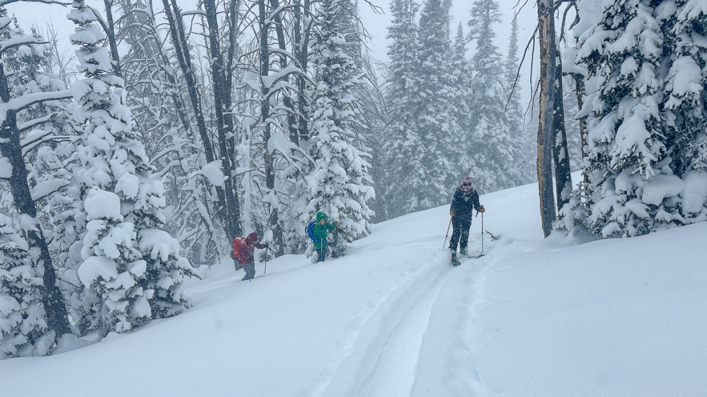 backcountry ski boots - if hunting for low-angle pow is your jam, budget gear can get you...
