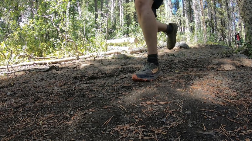 hoka speedgoat 6 - the speedgoats really chew up packed trails like this.