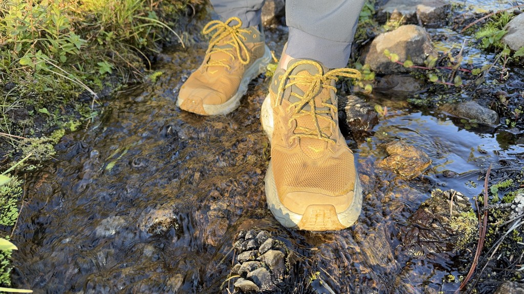 hiking shoes - sloshing through streams is not a problem for the anacapa 2.