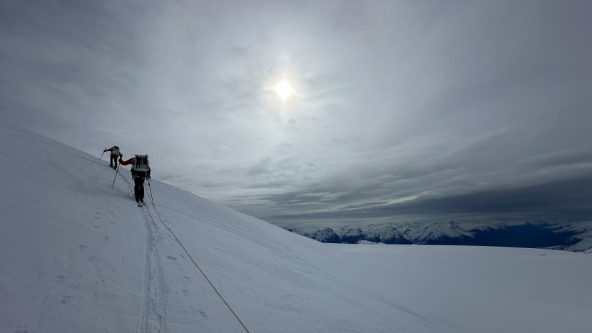 movement alp tracks 98 - expedition skiing rewards lightweight, versatile skis. even if you...