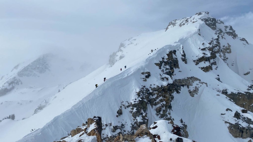 movement alp tracks 98 - ski mountaineering demands lightweight, predictable skis like the...