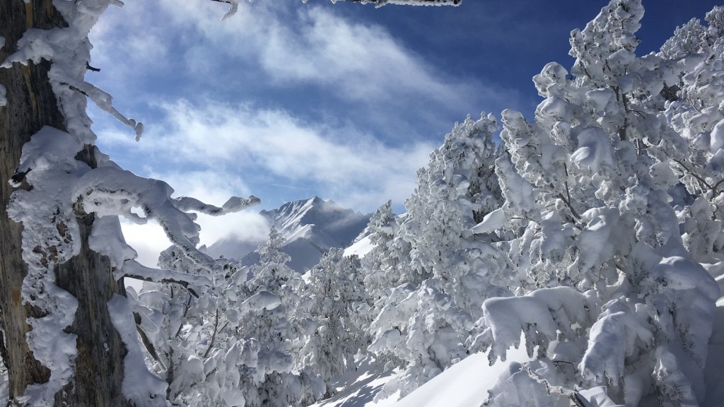 snowboard womens - mother nature&#039;s offerings.
