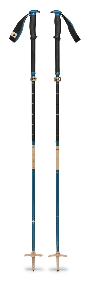 backcountry ski poles